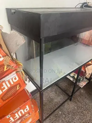 4 Ft Fish Tank