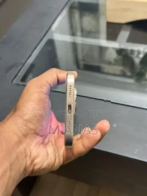 Apple iPhone 16 Pro Max (Used)