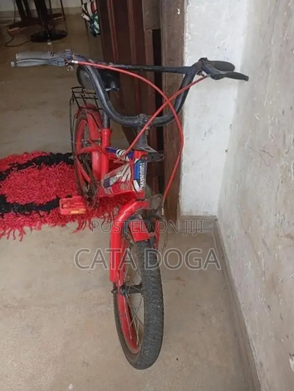 Bicycle
