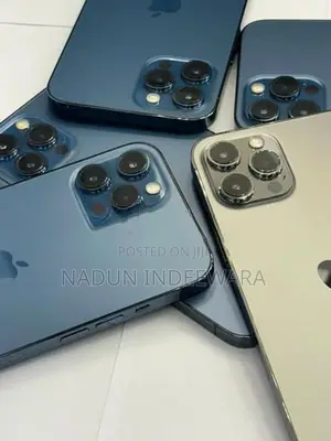 Apple iPhone 12 Pro Max (Used)