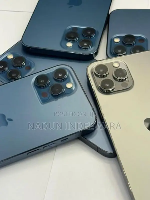 Apple iPhone 12 Pro Max (Used)