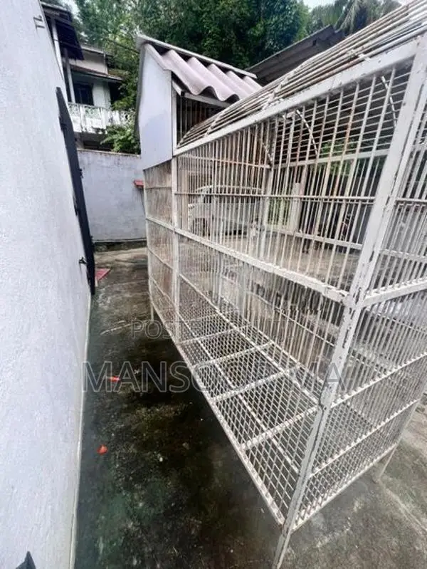 Birds Cage