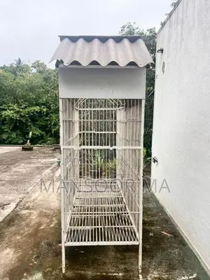 Birds Cage