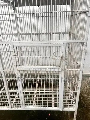Birds Cage