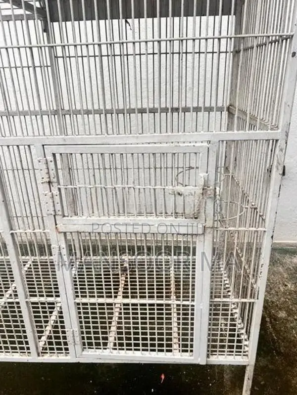Birds Cage