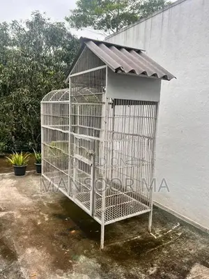 Birds Cage