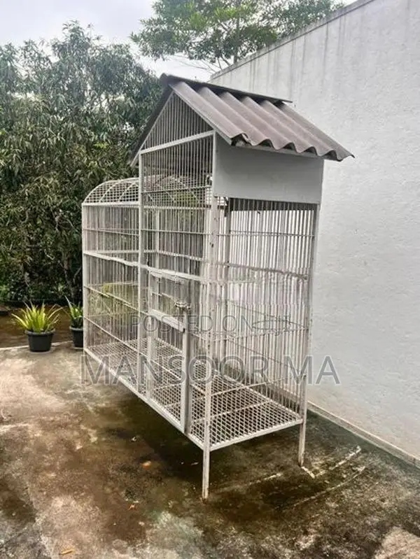 Birds Cage