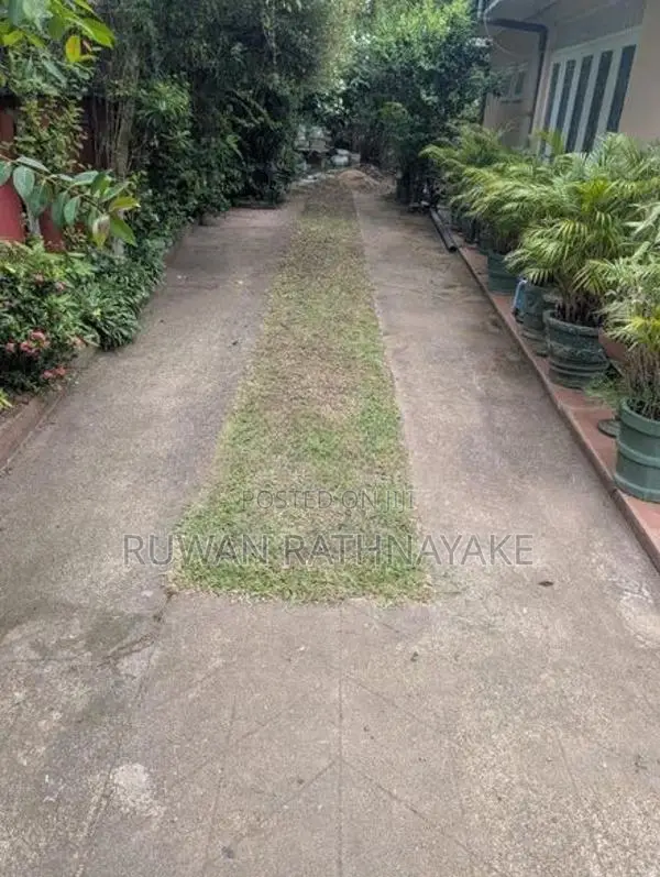 Single House for Rent in Kalubovila