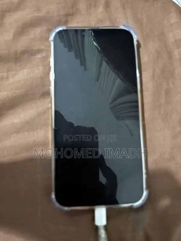 Apple iPhone 13 Pro Max (Used)