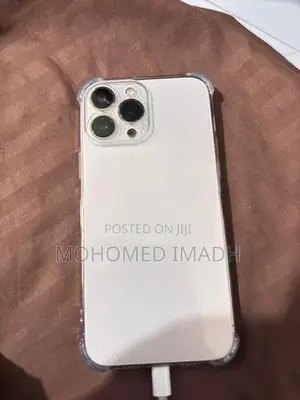 Apple iPhone 13 Pro Max (Used)