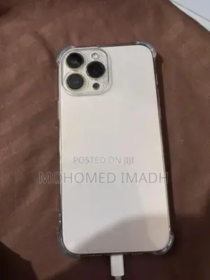 Apple iPhone 13 Pro Max (Used)