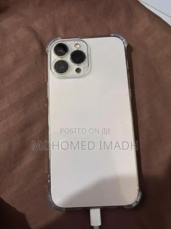Apple iPhone 13 Pro Max (Used)