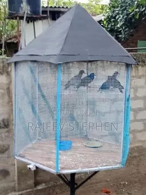 Bird Cage