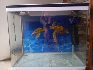 Fish Tank