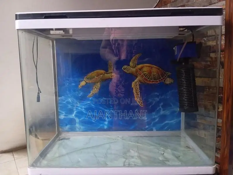 Fish Tank