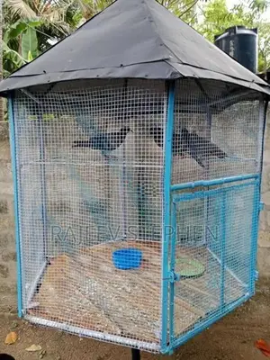 Bird Cage