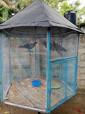 Bird Cage