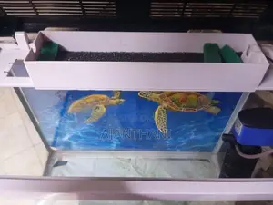 Fish Tank
