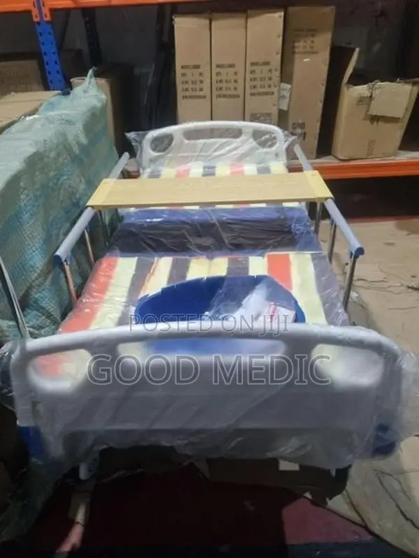 Four Function Manual Beds with Sanitory