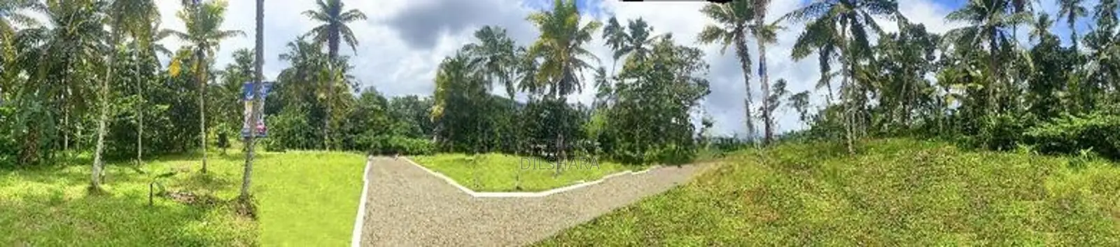 Mirigama නගරය ආසන්නයෙන් වටිනා ඉඩමක්