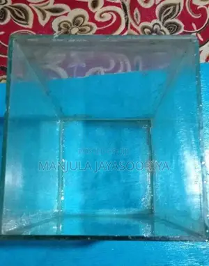 Fish Tank