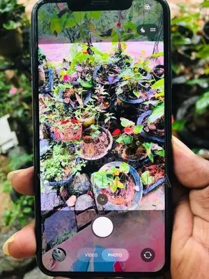 Apple iPhone 11 Pro Max (Used)