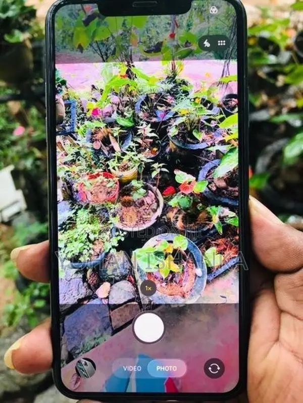Apple iPhone 11 Pro Max (Used)