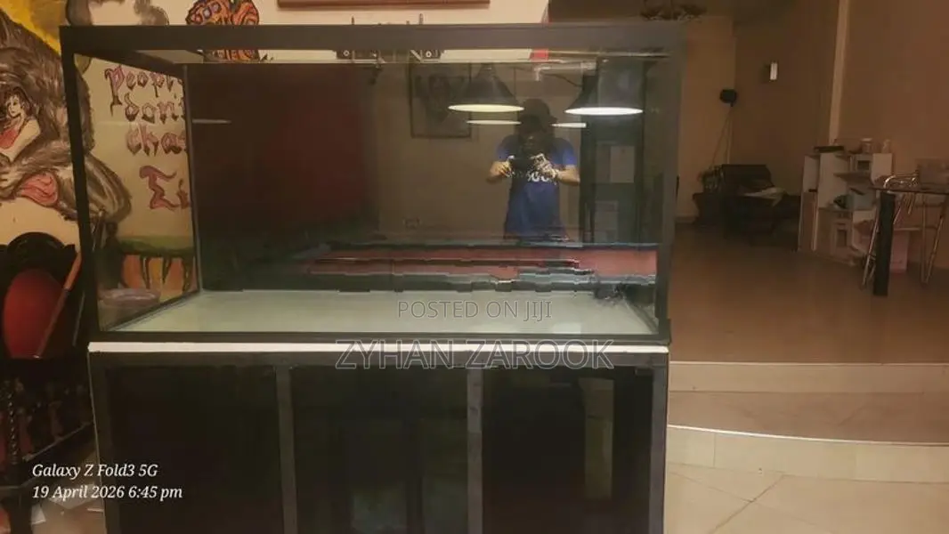 Fish Tank