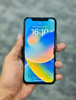 Apple iPhone X 256GB (Used)
