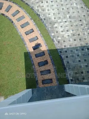 Grass Carpet Malaysian