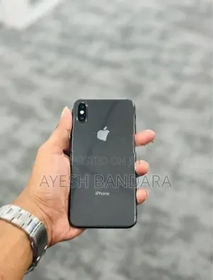 Apple iPhone X 256GB (Used)