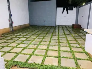 Grass Carpet Malaysian