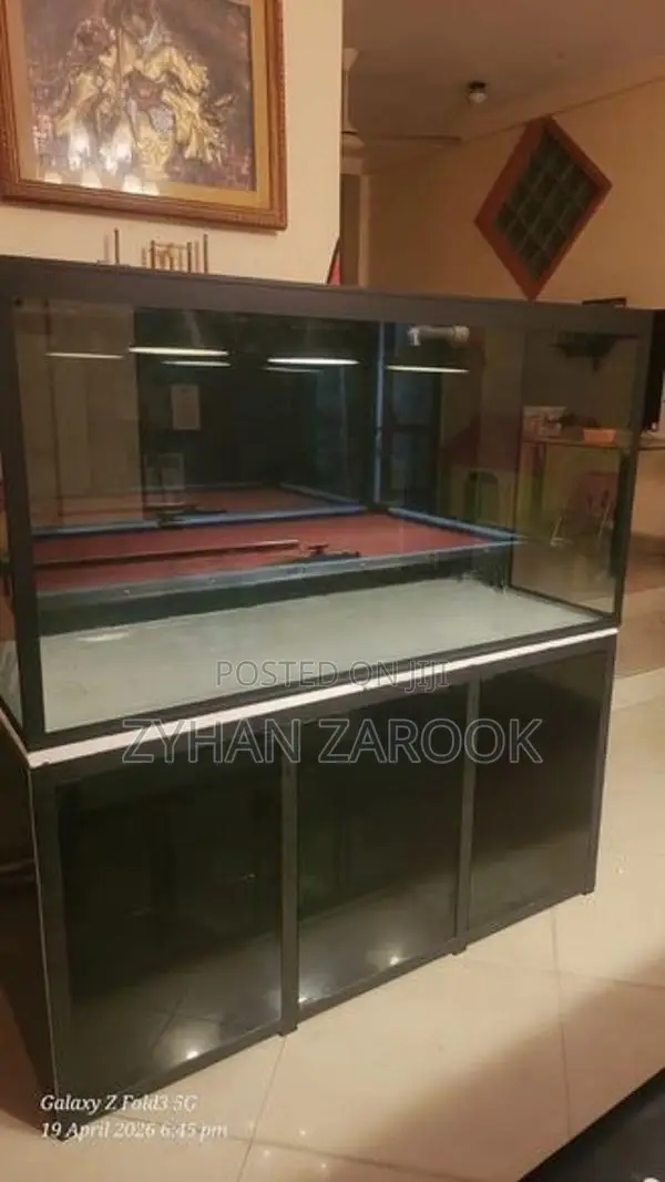 Fish Tank