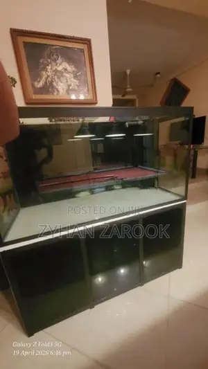 Fish Tank