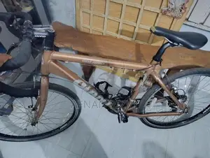 Racing Bicycle