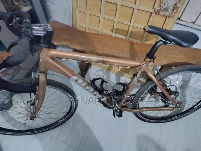 Racing Bicycle