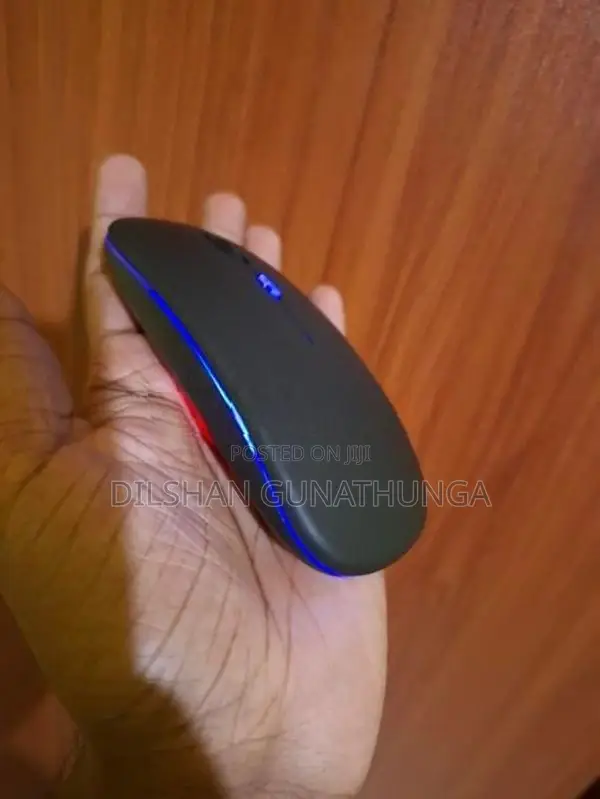 Wirelass Mouse