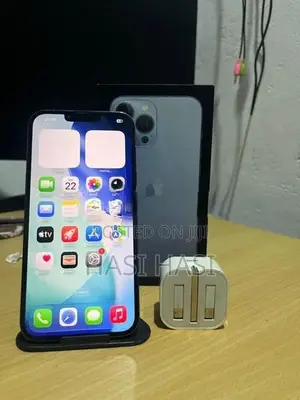 Apple iPhone 13 Pro Max (Used)