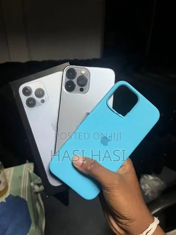Apple iPhone 13 Pro Max (Used)
