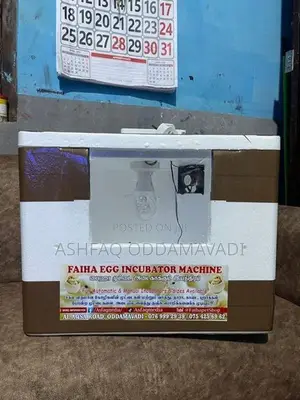 Egg Incubator