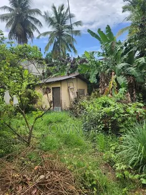 Land for Sale in Thalapathpitiya Nugegoda
