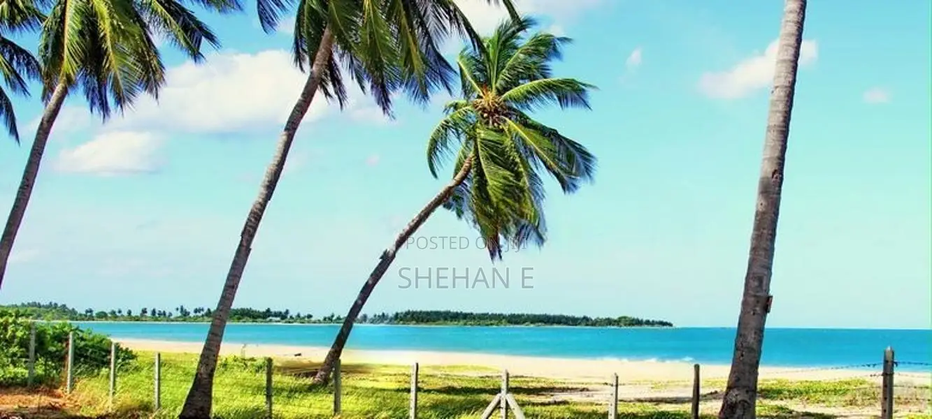 Prime Land for Sale Near Pasikuda Beach