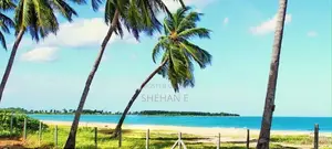 Prime Land for Sale Near Pasikuda Beach