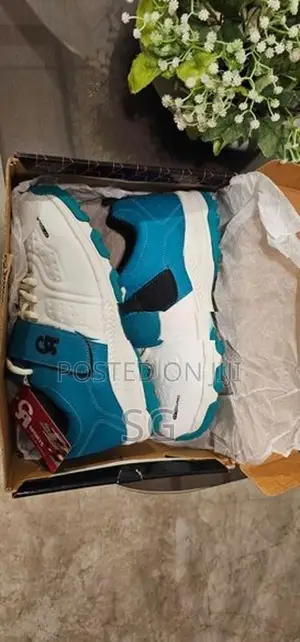 CA Cricket Shoe
