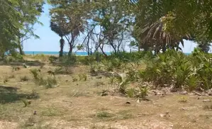 Prime Land for Sale Near Pasikuda Beach