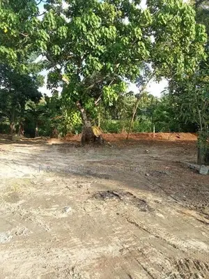 Polgahawela Maddalanda Land for Sale
