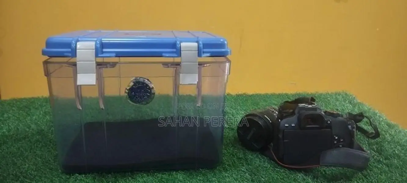 Canon EOS 800D Digital Camera