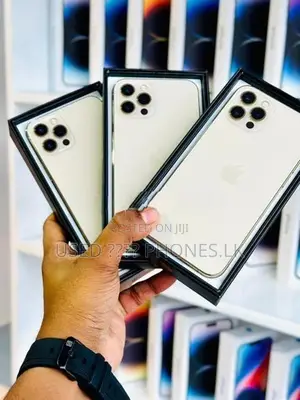 Apple iPhone 12 Pro Max 256GB (Used)