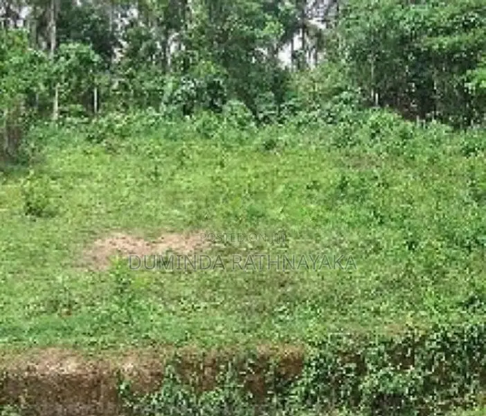 නේවාසික ඉඩමක් විකිනීමට - කිරිබත්ගොඩ