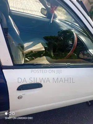 AD Wagon Door